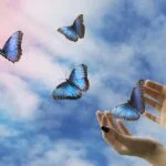 papillon qui s'envole des mains